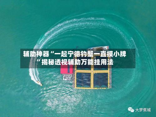 辅助神器“一起宁德钓蟹一直摸小牌”揭秘透视辅助万能挂用法-第3张图片