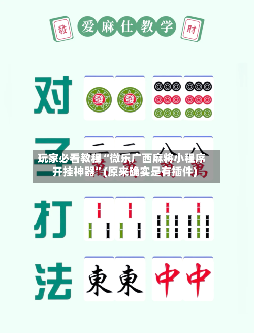 玩家必看教程“微乐广西麻将小程序开挂神器”(原来确实是有插件)-第1张图片