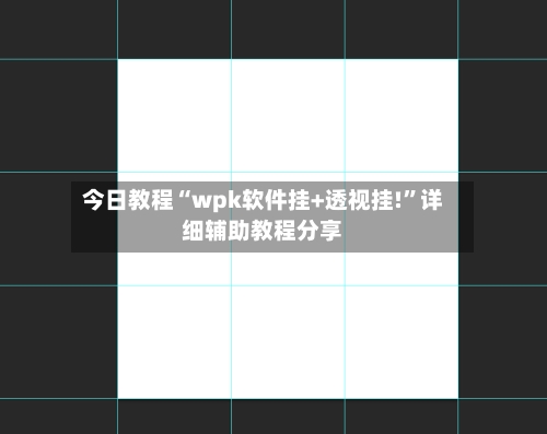 今日教程“wpk软件挂+透视挂!	”详细辅助教程分享-第2张图片