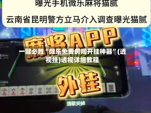 一键必胜“微乐免费房间开挂神器”(透视挂)透视详细教程-第1张图片