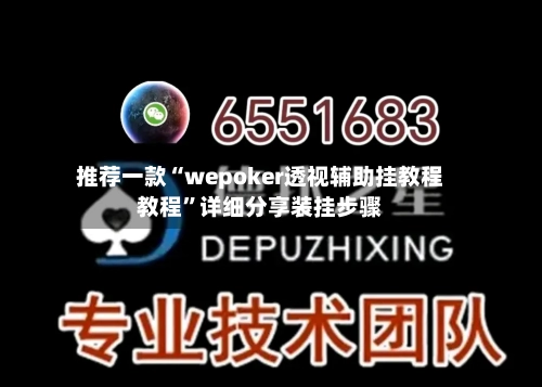 推荐一款“wepoker透视辅助挂教程教程”详细分享装挂步骤-第2张图片