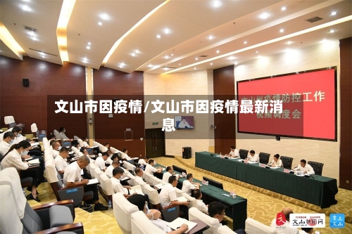 文山市因疫情/文山市因疫情最新消息-第3张图片