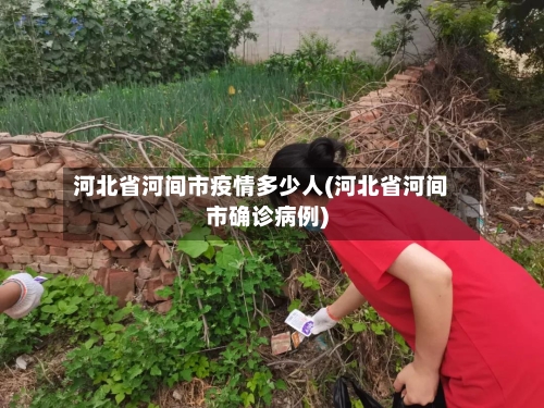 河北省河间市疫情多少人(河北省河间市确诊病例)-第3张图片