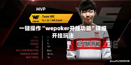 一键操作“wepoker开挂功能	”详细开挂玩法-第2张图片
