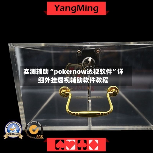 实测辅助“pokernow透视软件”详细外挂透视辅助软件教程-第3张图片