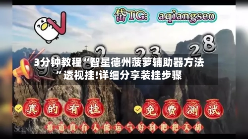 3分钟教程“智星德州菠萝辅助器方法”透视挂!详细分享装挂步骤-第1张图片