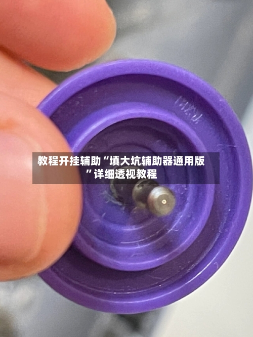 教程开挂辅助“填大坑辅助器通用版”详细透视教程-第1张图片