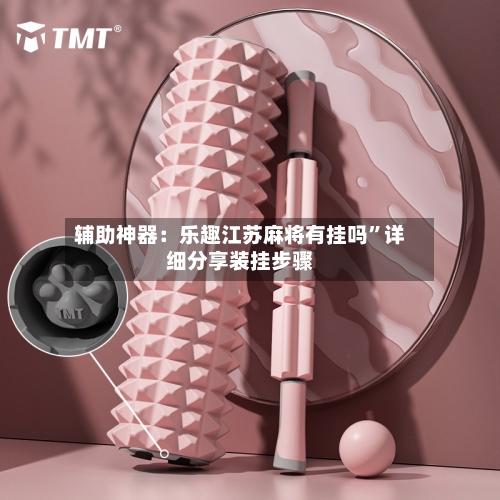 辅助神器：乐趣江苏麻将有挂吗	”详细分享装挂步骤-第1张图片