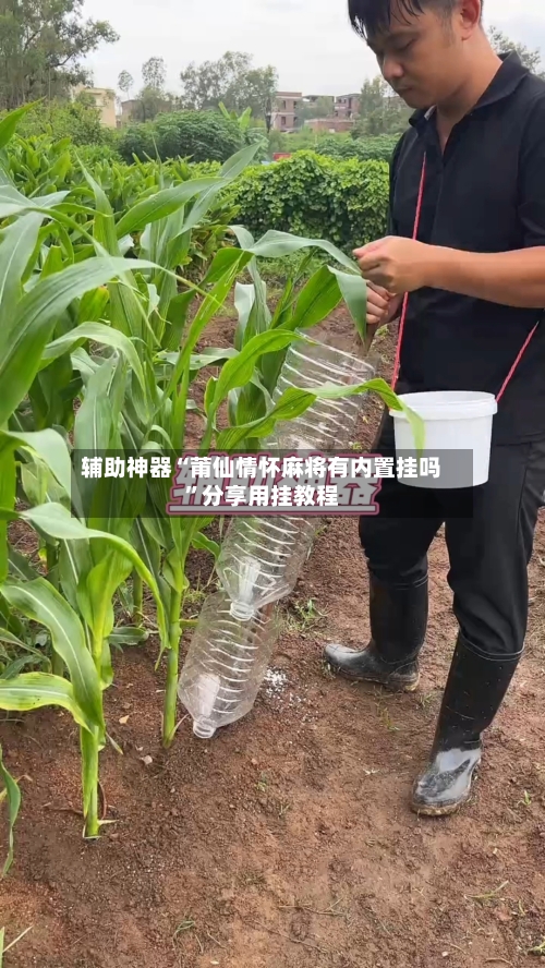 辅助神器“莆仙情怀麻将有内置挂吗	”分享用挂教程-第1张图片