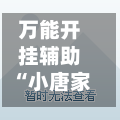 万能开挂辅助“小唐家乐园辅助器”附开挂脚本详细步骤-第2张图片