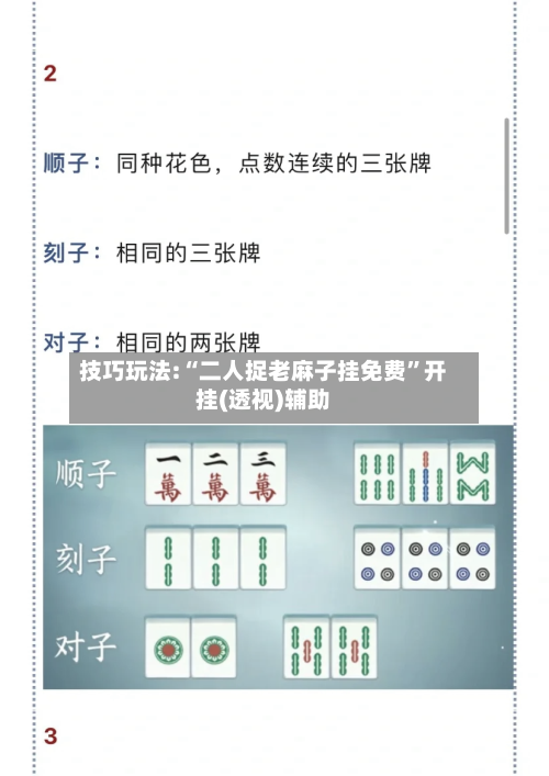 技巧玩法:“二人捉老麻子挂免费”开挂(透视)辅助-第2张图片