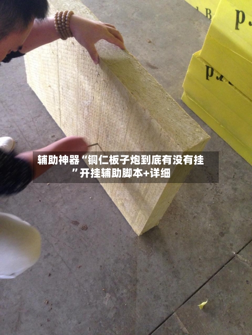 辅助神器“铜仁板子炮到底有没有挂”开挂辅助脚本+详细-第1张图片