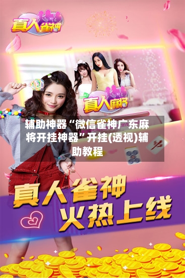 辅助神器“微信雀神广东麻将开挂神器”开挂(透视)辅助教程-第3张图片