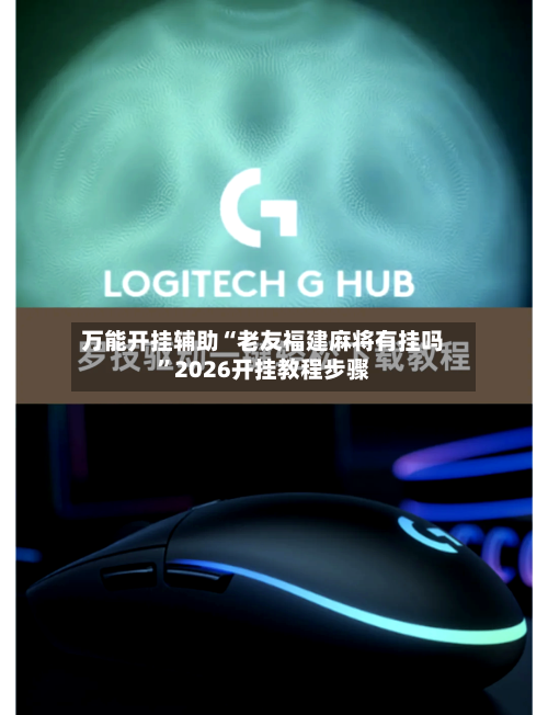 万能开挂辅助“老友福建麻将有挂吗”2026开挂教程步骤-第2张图片