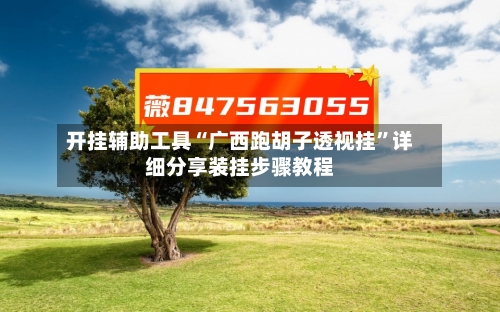 开挂辅助工具“广西跑胡子透视挂”详细分享装挂步骤教程-第1张图片