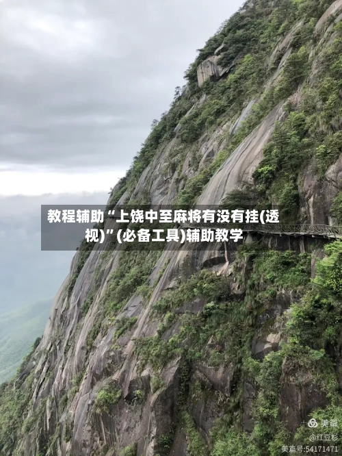 教程辅助“上饶中至麻将有没有挂(透视)	”(必备工具)辅助教学-第2张图片