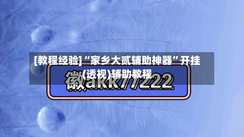 [教程经验]“家乡大贰辅助神器”开挂(透视)辅助教程-第2张图片