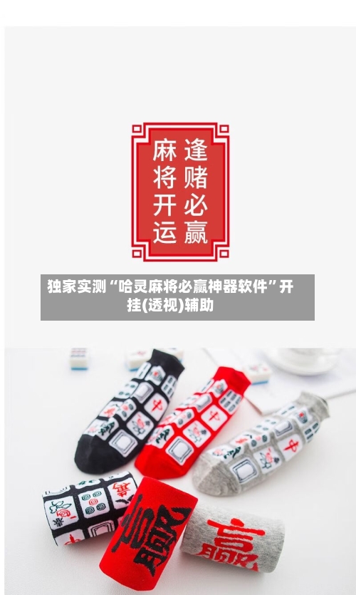 独家实测“哈灵麻将必赢神器软件”开挂(透视)辅助-第3张图片