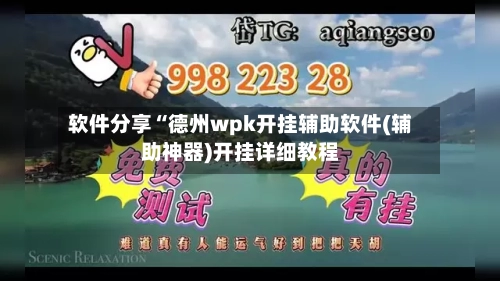 软件分享“德州wpk开挂辅助软件(辅助神器)开挂详细教程-第1张图片