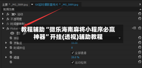 教程辅助“微乐海南麻将小程序必赢神器	”开挂(透视)辅助教程-第2张图片