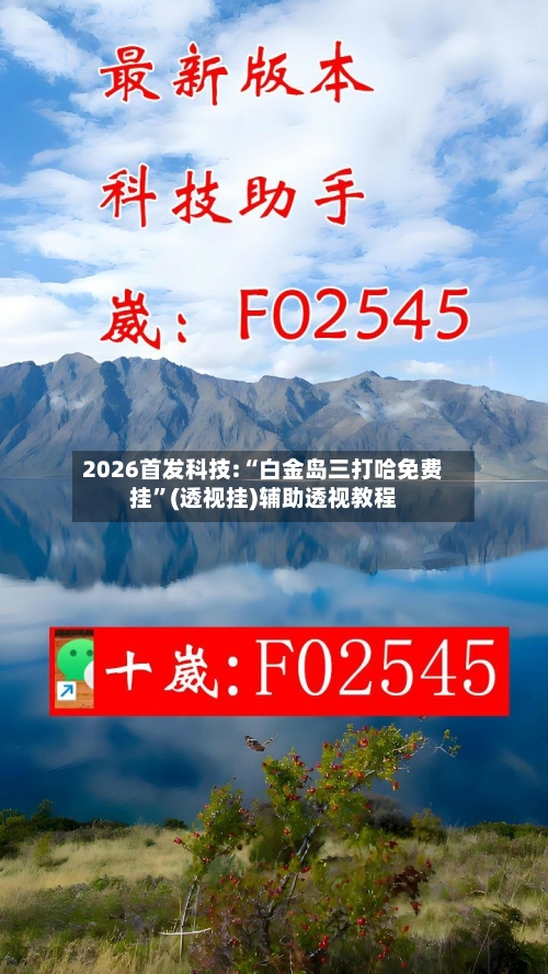 2026首发科技:“白金岛三打哈免费挂”(透视挂)辅助透视教程-第1张图片