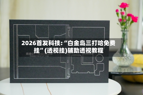 2026首发科技:“白金岛三打哈免费挂”(透视挂)辅助透视教程-第2张图片