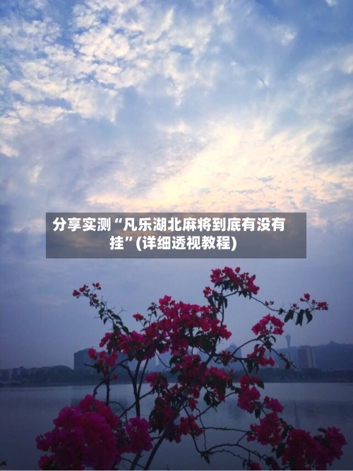 分享实测“凡乐湖北麻将到底有没有挂”(详细透视教程)-第1张图片