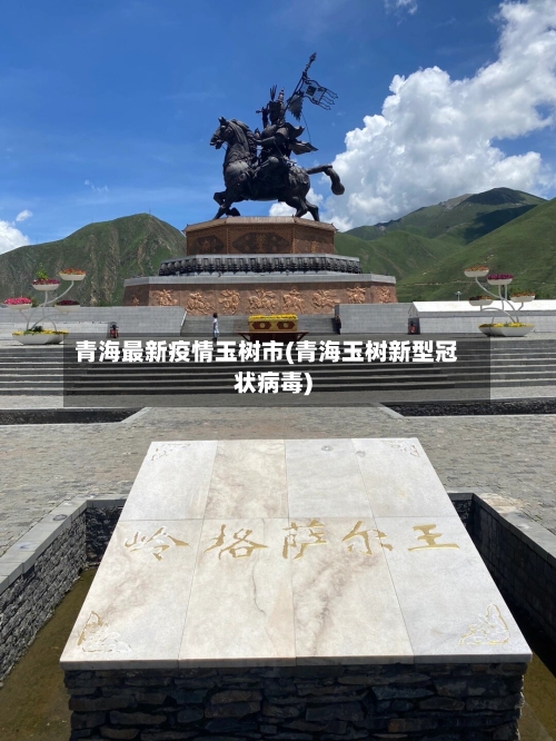 青海最新疫情玉树市(青海玉树新型冠状病毒)-第1张图片