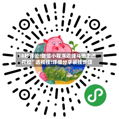 18秒详论!微信小程序边锋斗地主透视挂”透视挂!详细分享装挂步骤-第1张图片