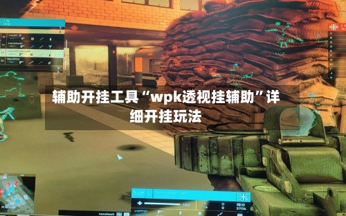 辅助开挂工具“wpk透视挂辅助	”详细开挂玩法-第1张图片