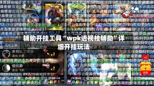 辅助开挂工具“wpk透视挂辅助”详细开挂玩法-第2张图片