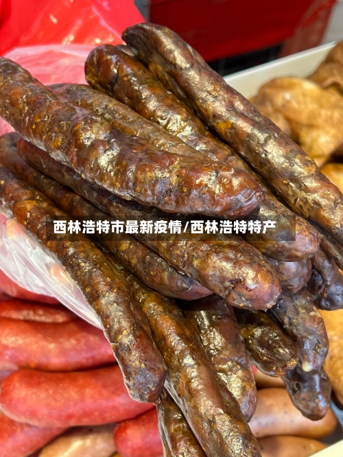 西林浩特市最新疫情/西林浩特特产-第2张图片