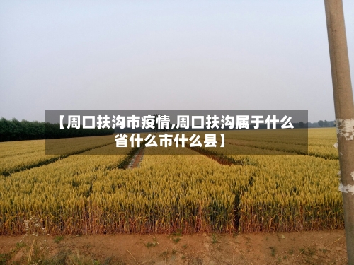 【周口扶沟市疫情,周口扶沟属于什么省什么市什么县】-第1张图片