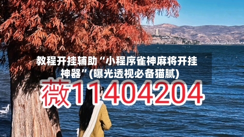 教程开挂辅助“小程序雀神麻将开挂神器”(曝光透视必备猫腻)-第2张图片