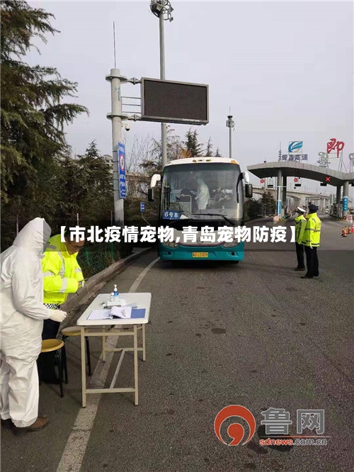 【市北疫情宠物,青岛宠物防疫】-第1张图片