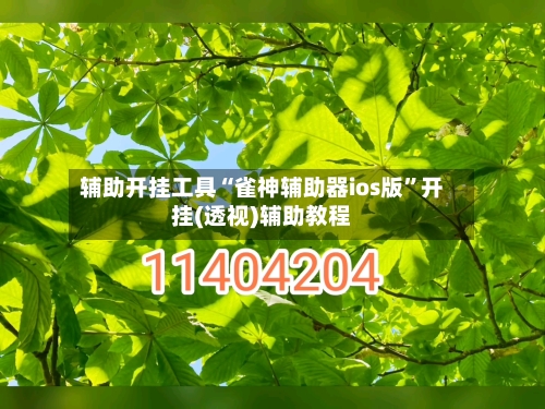 辅助开挂工具“雀神辅助器ios版	”开挂(透视)辅助教程-第1张图片