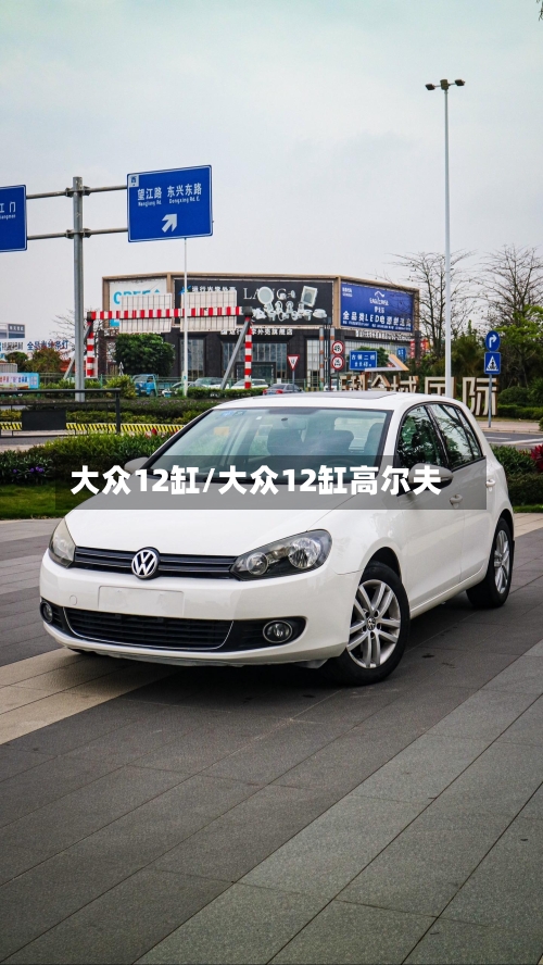 大众12缸/大众12缸高尔夫-第2张图片