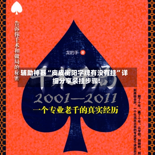 辅助神器“皮皮衡阳字牌有没有挂	”详细分享装挂步骤!-第2张图片