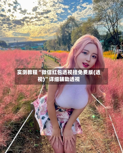 实测教程“微信红包透视挂免费版(透视)”详细辅助透视-第1张图片