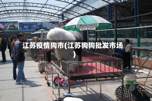江苏疫情狗市(江苏狗狗批发市场)-第2张图片