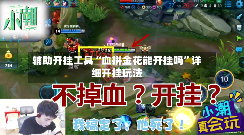 辅助开挂工具“血拼金花能开挂吗	”详细开挂玩法-第1张图片