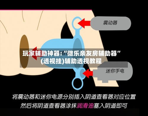 玩家辅助神器:“微乐亲友房辅助器	”(透视挂)辅助透视教程-第2张图片