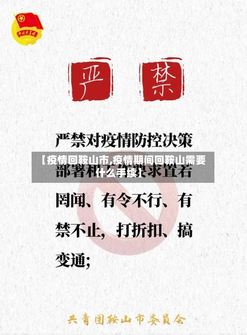 【疫情回鞍山市,疫情期间回鞍山需要什么手续】-第2张图片