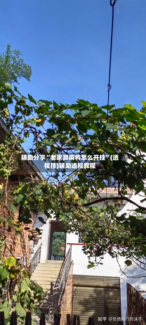 辅助分享“老家游麻将怎么开挂	”(透视挂)辅助透视教程-第1张图片