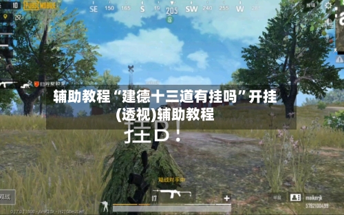 辅助教程“建德十三道有挂吗”开挂(透视)辅助教程-第3张图片