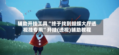 辅助开挂工具“终于找到蝴蝶大厅透视挂专用	”开挂(透视)辅助教程-第1张图片