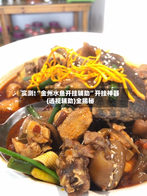 实测!“金州水鱼开挂辅助”开挂神器{透视辅助}全揭秘-第1张图片