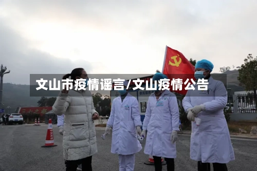 文山市疫情谣言/文山疫情公告-第2张图片