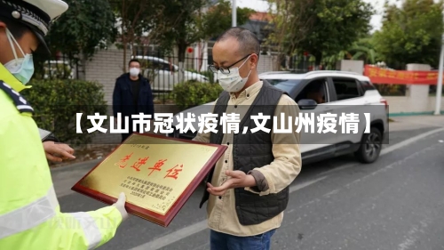【文山市冠状疫情,文山州疫情】-第3张图片