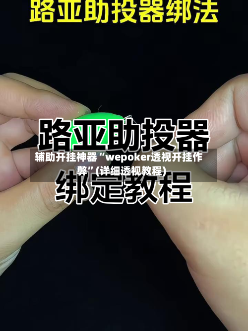 辅助开挂神器“wepoker透视开挂作弊”(详细透视教程)-第1张图片